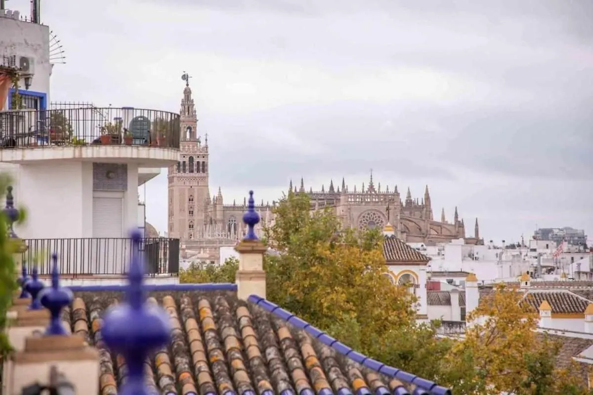 Monkeys Apartments Adriano & Terrace Sevilla